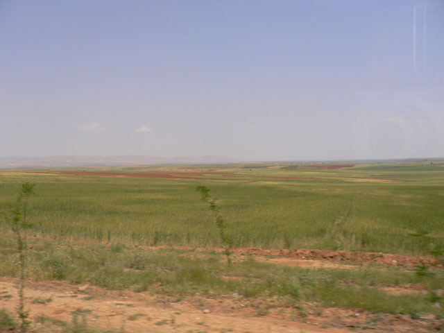 ss274u.jpg
