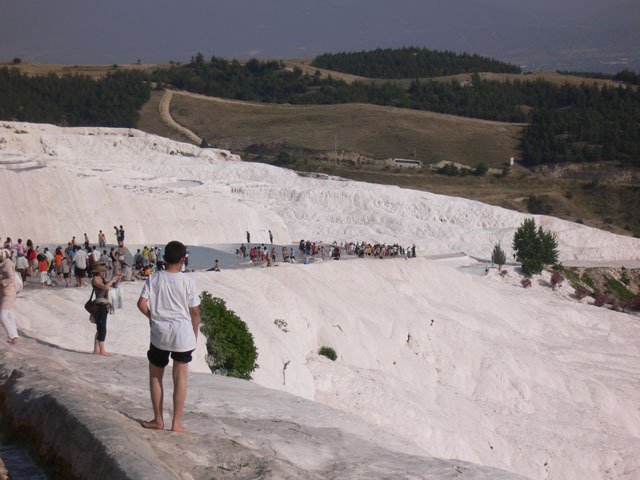 ss294p.jpg