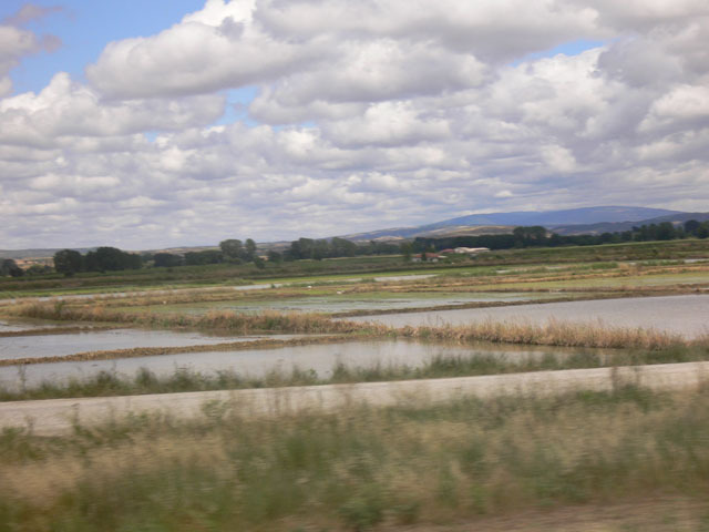 ss473.jpg