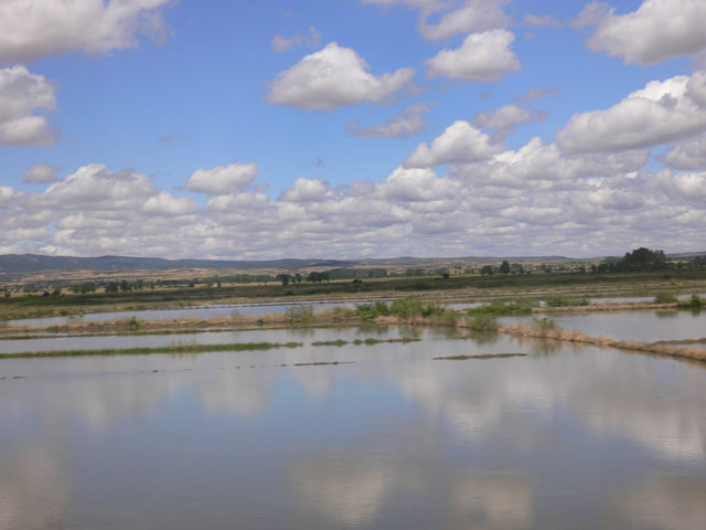 ss474.jpg