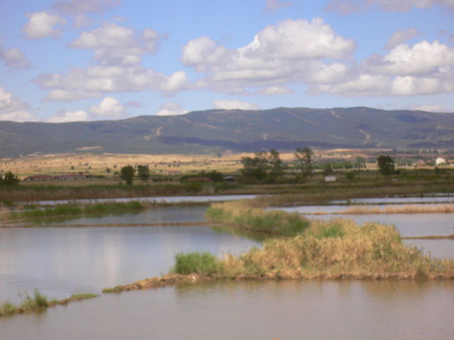 ss475.jpg