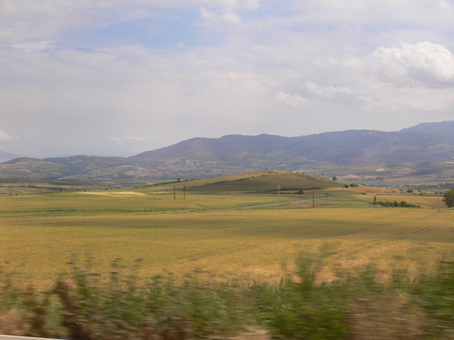 ss480.jpg