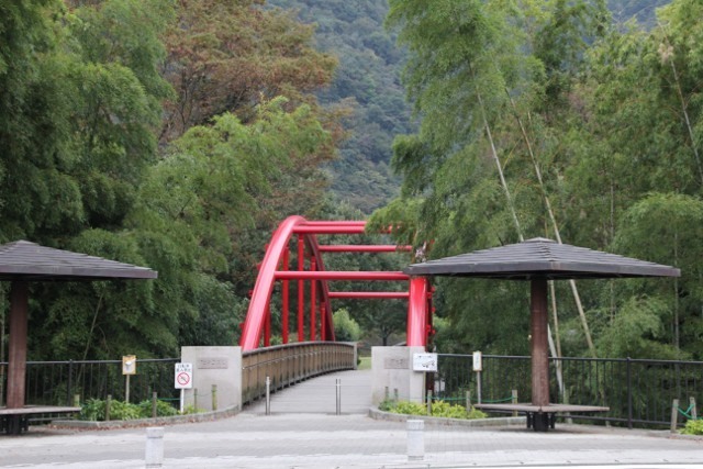 ssTE_4107.JPG