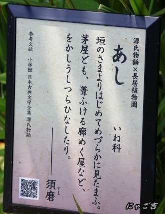 ssWlR50_3967_D33.jpg
