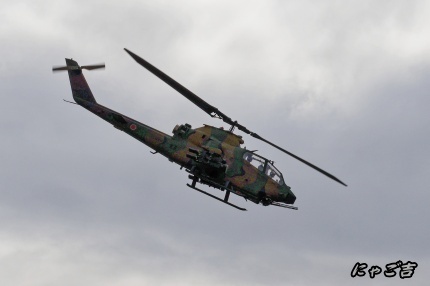 ssWlR50_5142_D33.jpg
