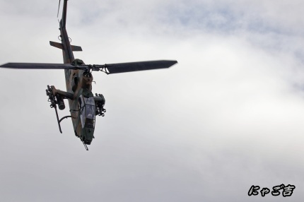 ssWlR50_5152_D33.jpg