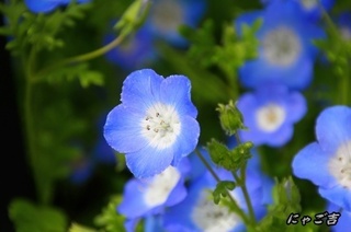 ssTE_26629_D33.jpg